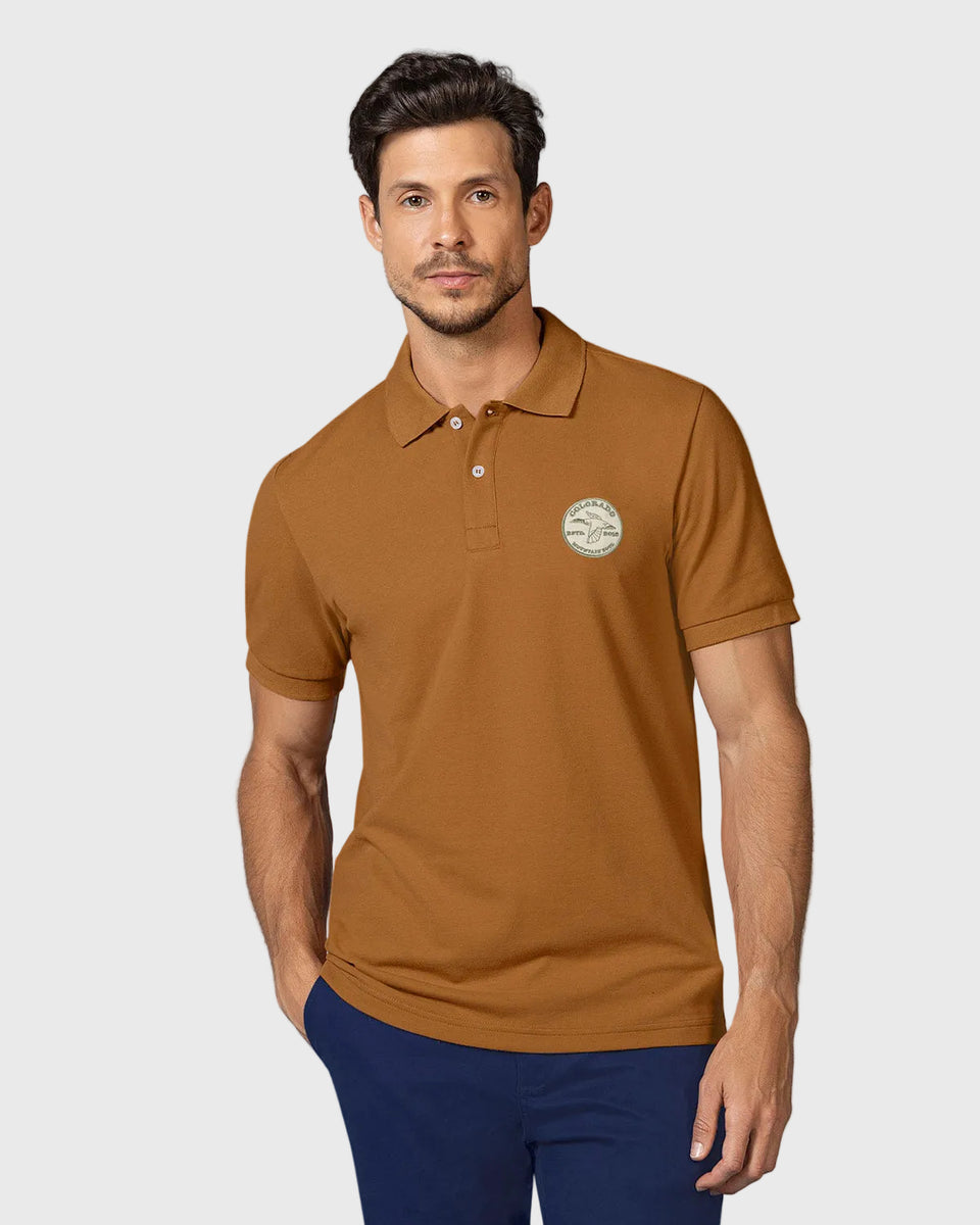 Camiseta tipo polo con aplique bordado